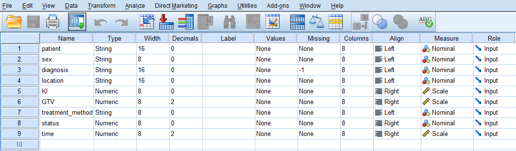 SPSS Variable View