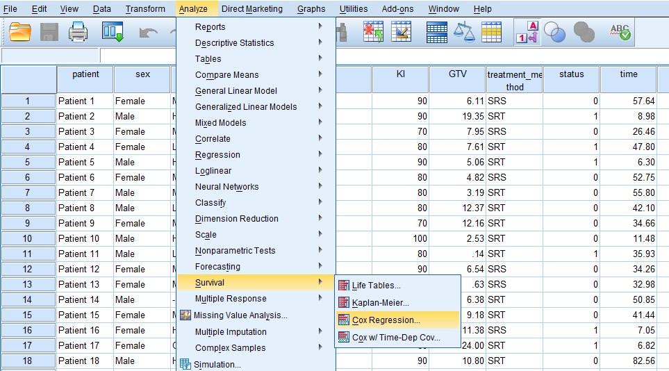 SPSS Cox Regression menu