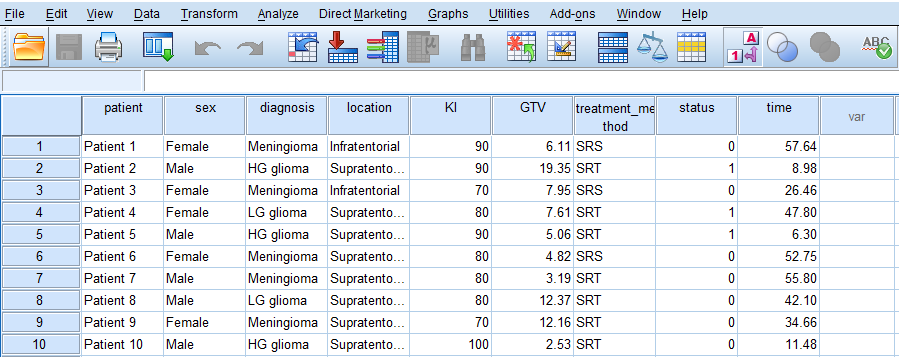 SPSS Data View