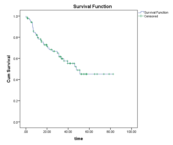 Survival Probability Plot