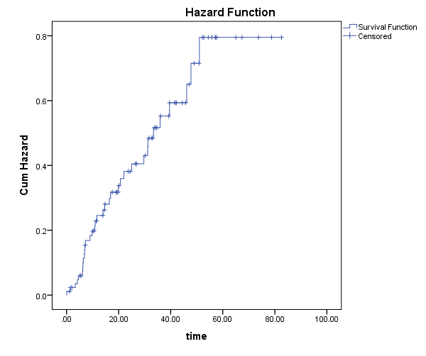 Hazard Function Plot