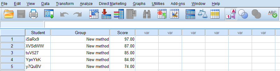 SPSS Data View