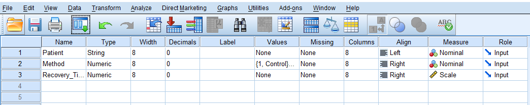 SPSS Variable View
