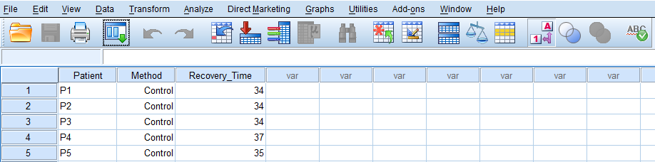 SPSS Data View
